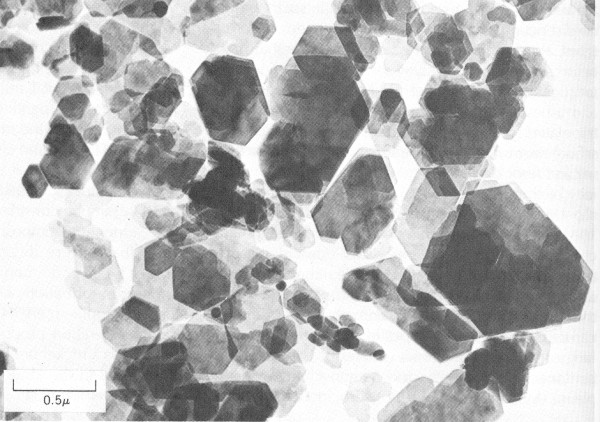 stice kaolinitu v elektronovm mikroskopu