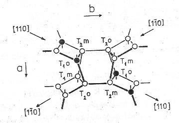 struktura triklinickho ivce