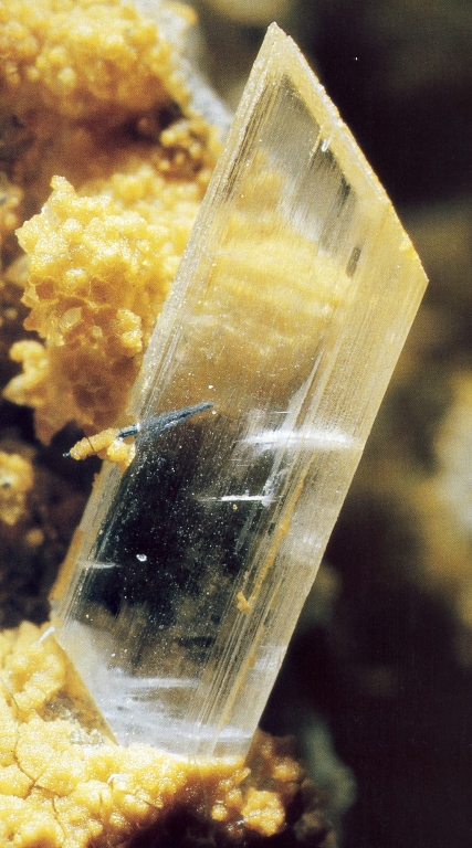 průhledný krystal sádrovce